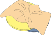 STEP2